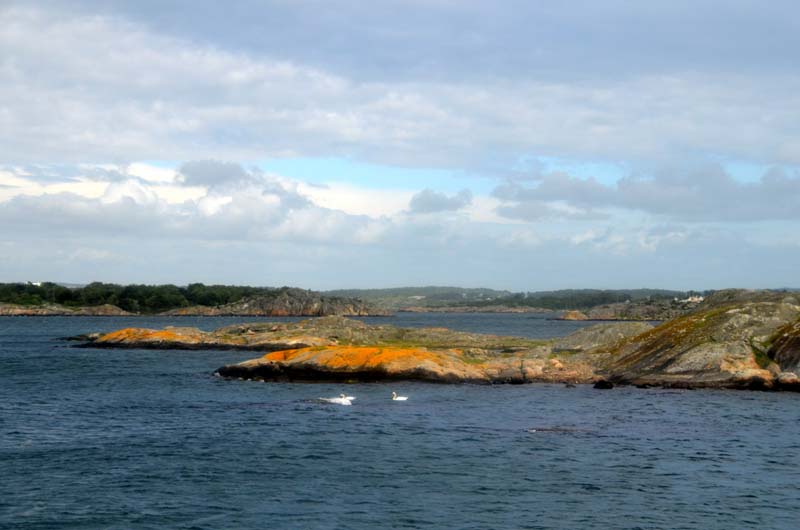 17-05-31_Skan_1520-GAB_0900