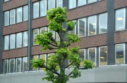 17-05-31_Skan_0950-GAB_0531-bearb