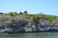 17-05-31_Skan_1135-GAB_0660