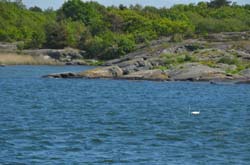 17-05-31_Skan_1175-GAB_0678