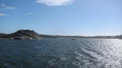 17-05-31_Skan_1791-Le-IMG_1562