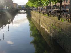 17-06-01_Skan_0013-Ga-IMG_7722